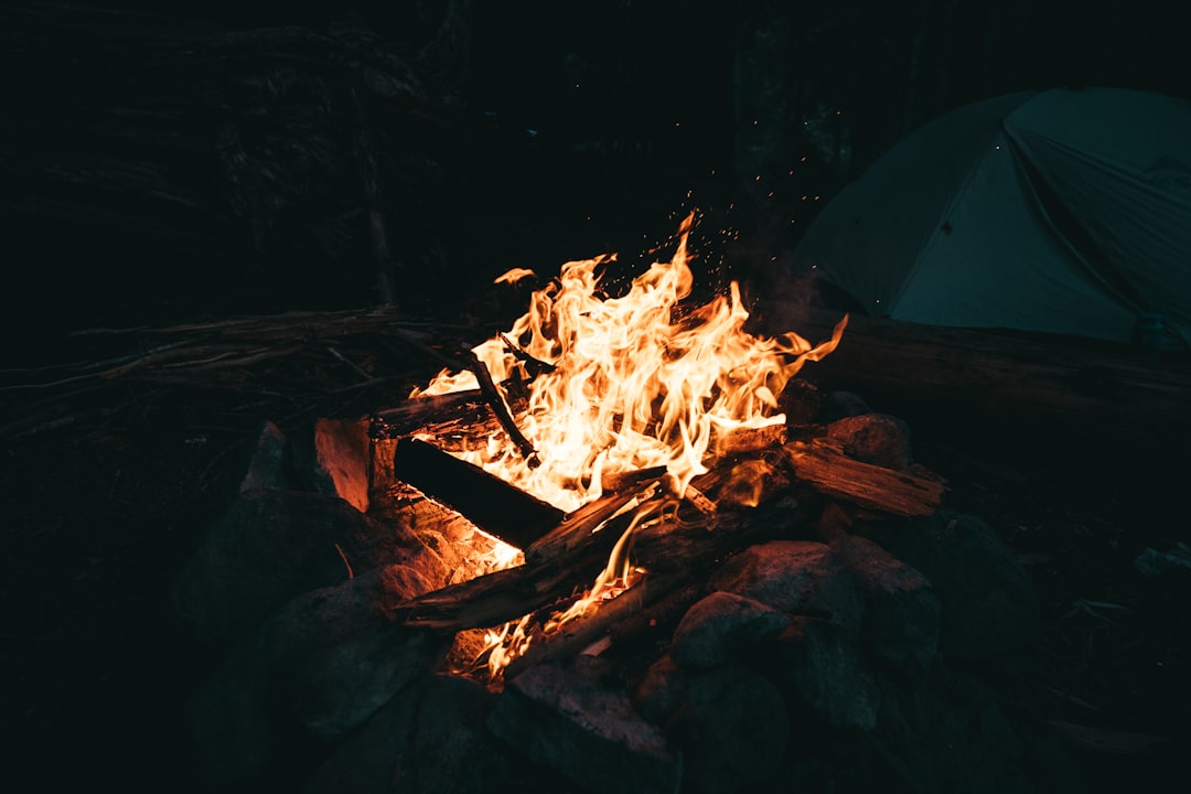 blog_5